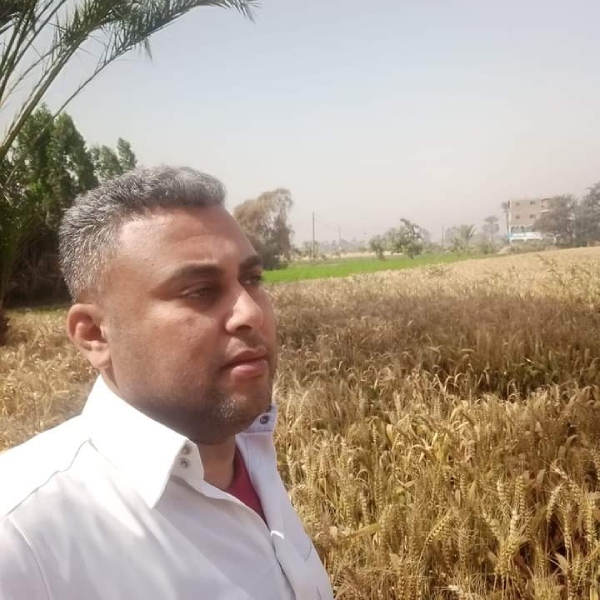 أحمد وفدي