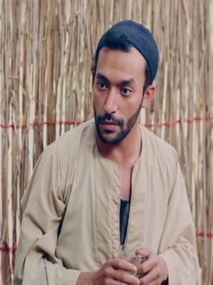 أحمد سمير عامر