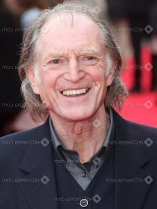 ديفيد برادلي