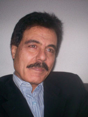 روحي الصفدي