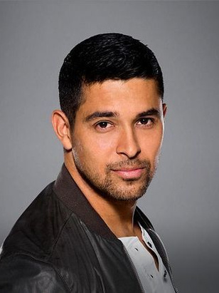 ويلمر فالديراما