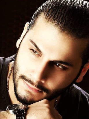 طارق الصباغ