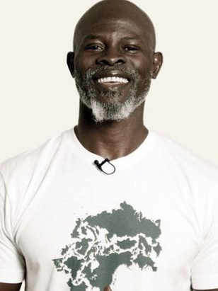 دجيمون هونسو