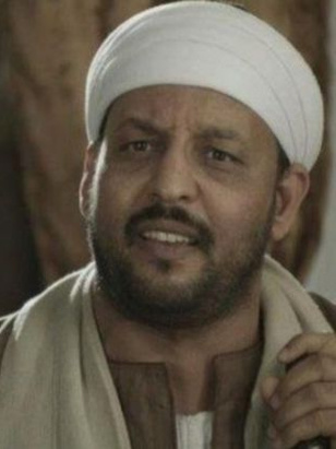 حسن القناوي