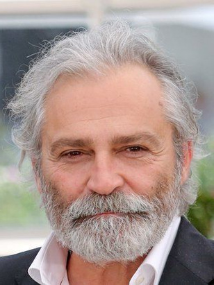 هالوك بيلجينير