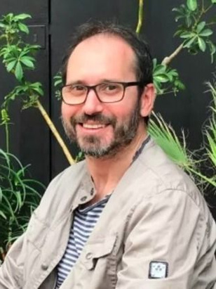 ديفيد ديسولا