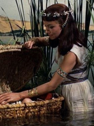 فرازر س. هيستون