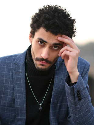 محمود الدلجموني