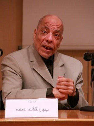 محمد حافظ رجب