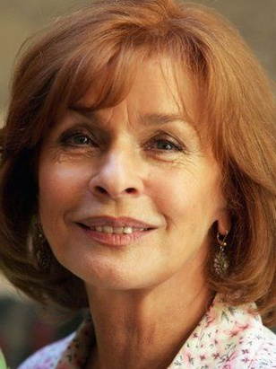 سينتا بيرجر