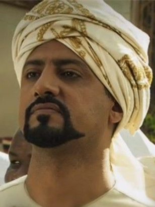 رائد عامر