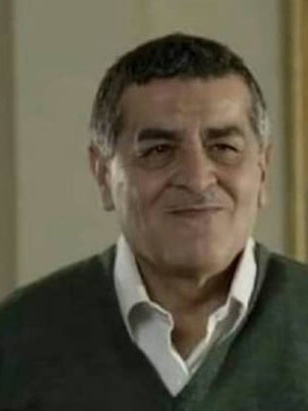 حسني بدر الدين