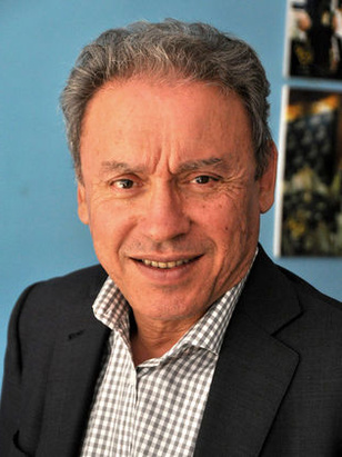 إدريس المريني