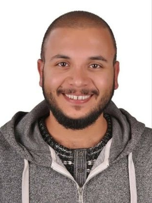 مينا الدفشي