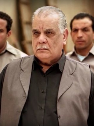 رجائي فتحي