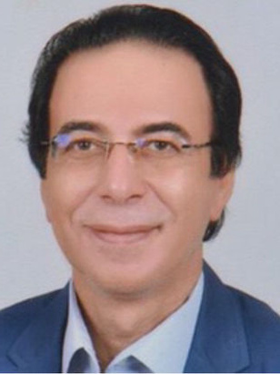 طارق حسن