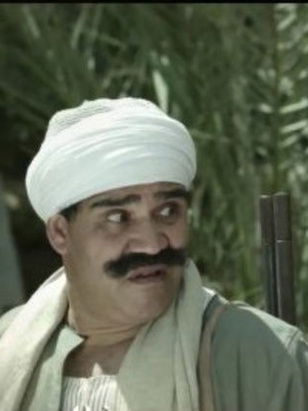 سيد الشرويدي