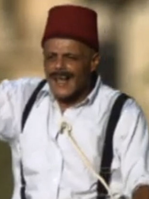 محسن سليم