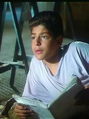 حسن مصطفى مظهر