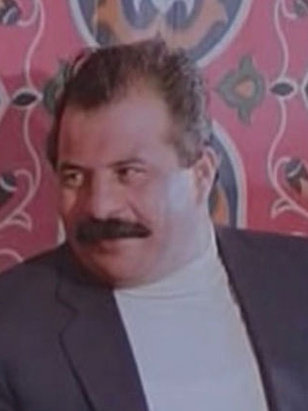 محمد عتريس