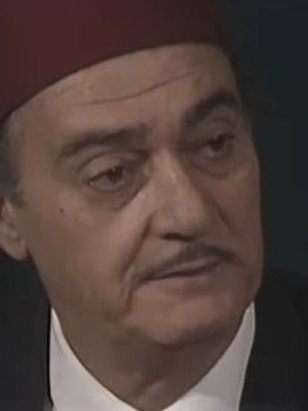 أنسي المصري