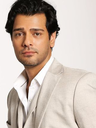 غابي جراي