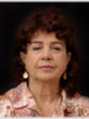 بيلج سين