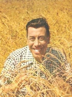 فرناندل