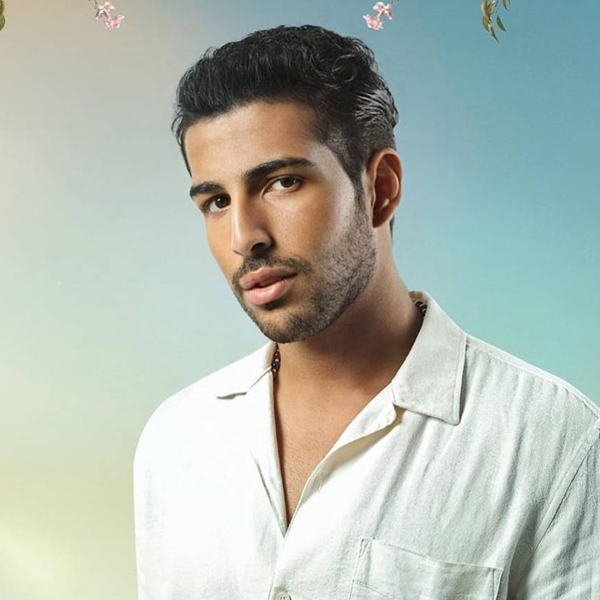 محمود عمرو ياسين